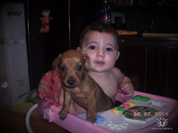 Николай Карпинский