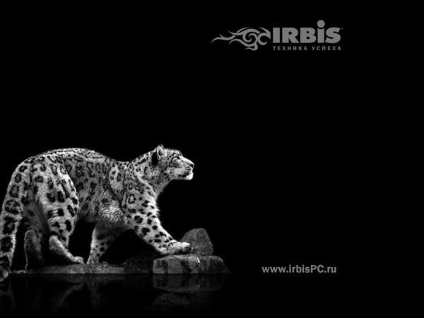 Никита .............