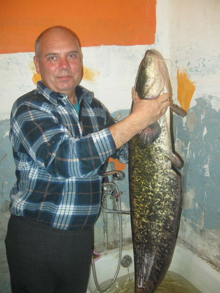 Игорь Гуркаев