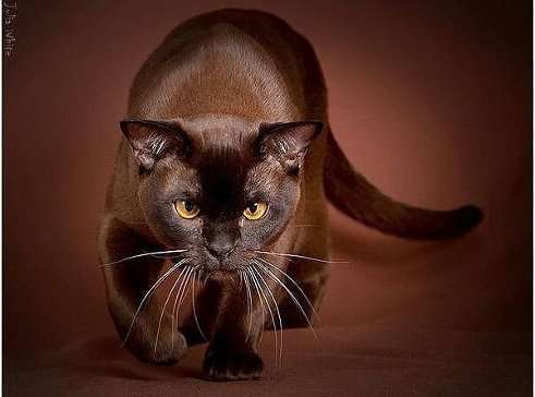 Татьяна ***********************