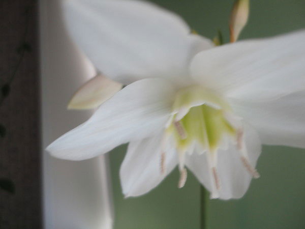 Наташа Шулятьева