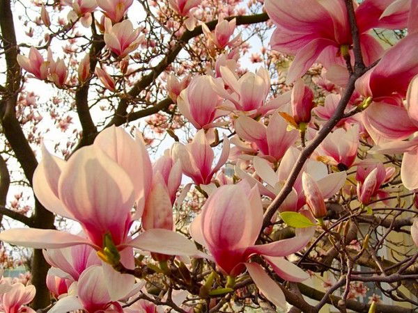 Нурида Жэналиева