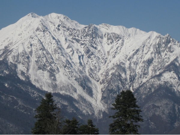 Василий Савельев