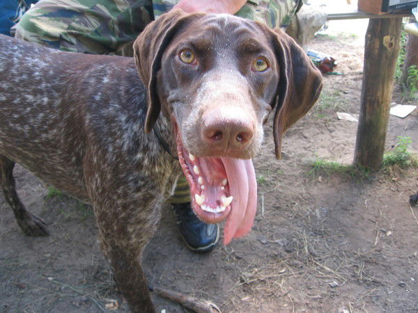 Александр Хилков