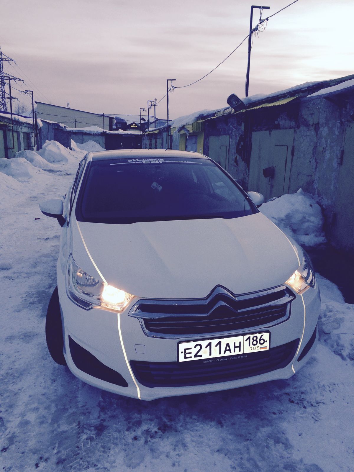 Серега Лерх