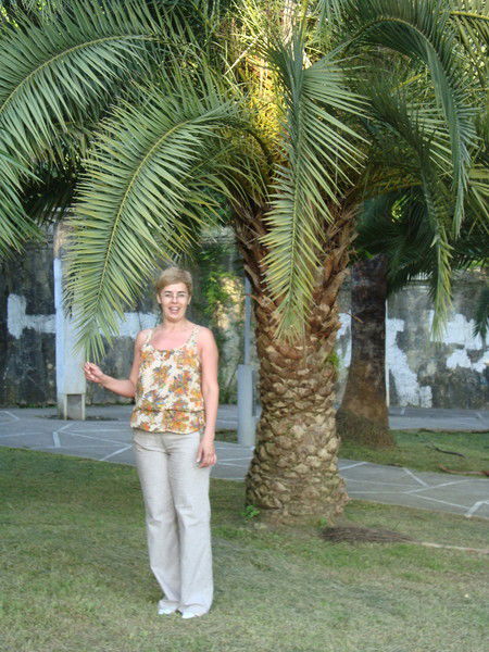 Елена Парфёнова