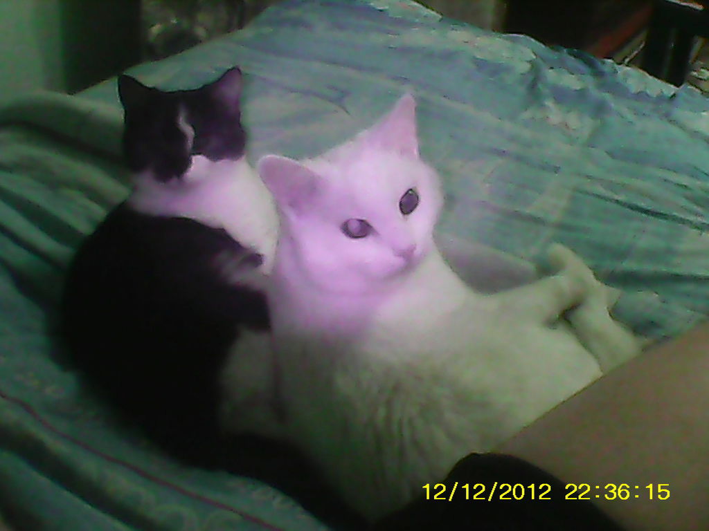 Анатолий Иванов