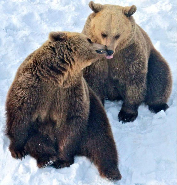 Юрий Куковякин