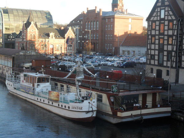 Светлана Cамарцева