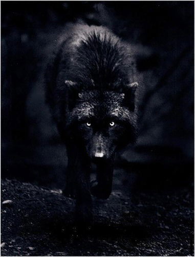 Алла Захарова