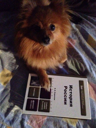 Марина Кучинская