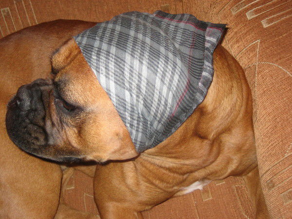 Евгений Бецов