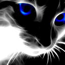 Vera Lion