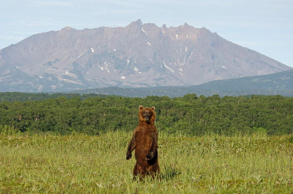 Александр П