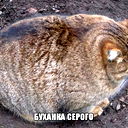 Ансор Наимов