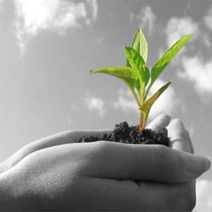 Г. Аксай Бурлинская Рай. Терр. Инспекция