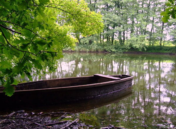 Александр Калябин