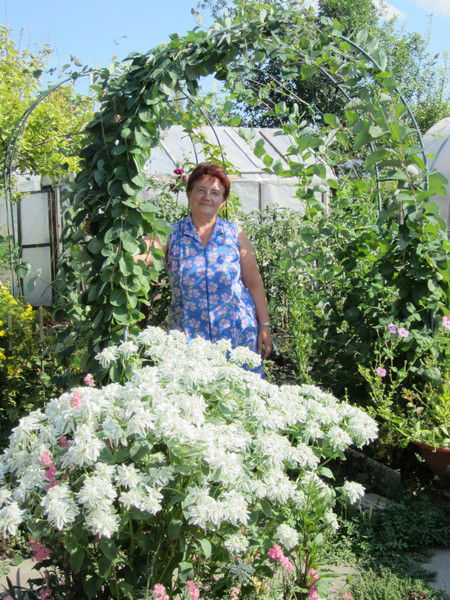 Наталья Халявина