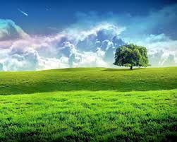 Жанат Касенов