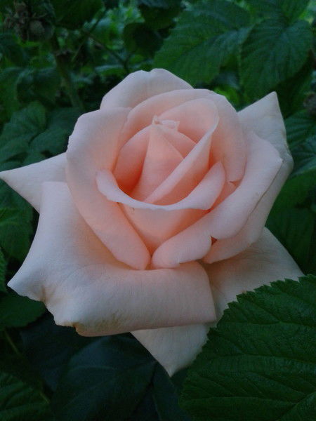 Татьяна Герасянова