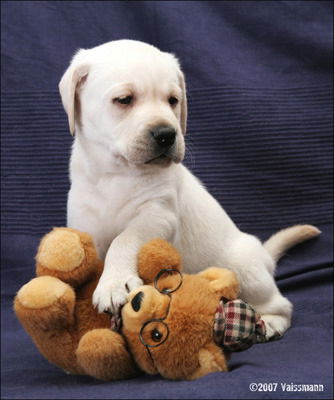 Миша Подколзин