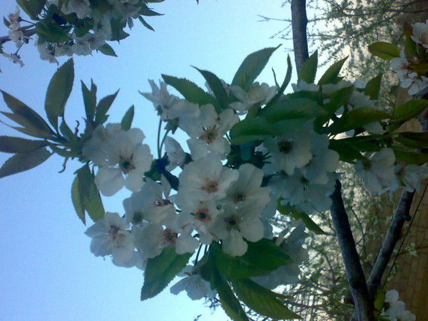 Дилшод Нажмудинов