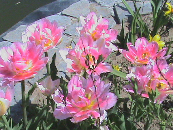 Наталья Бачина