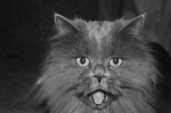 Виктория Незамутдинова