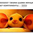 Ирина Вертей