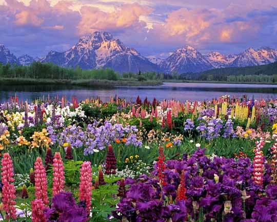 Айнура Оразалиева