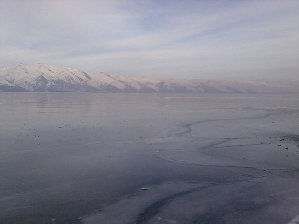 Андрей Макаров