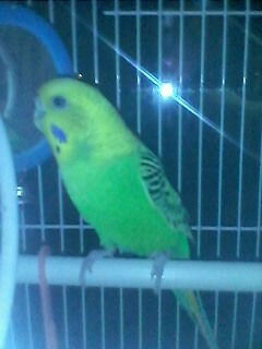 Олег Филипчик