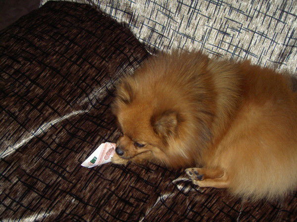 Your Dream Baby (*_*) >_<