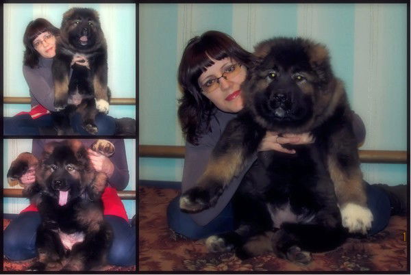 Наталья Бабаева