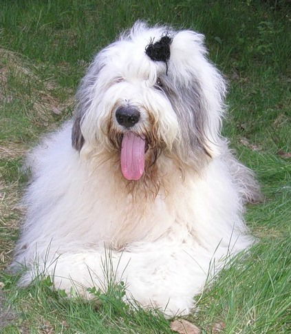 Людмила Подковкина