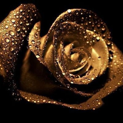 Наташа Шкерина