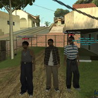 Рома Гинцбург