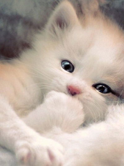 Анюта Зотова