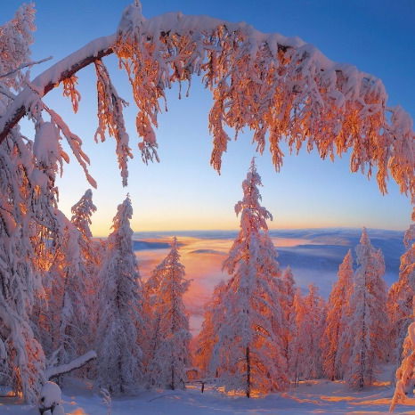 Игорь Петрович