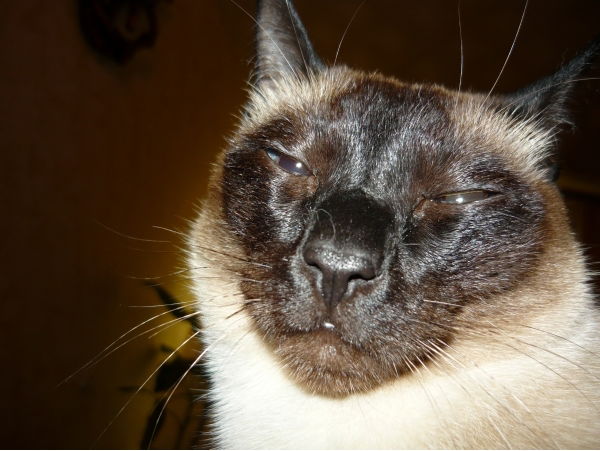 Александр Андреев