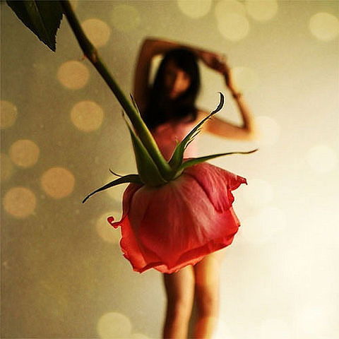 Елена Вертяшкина