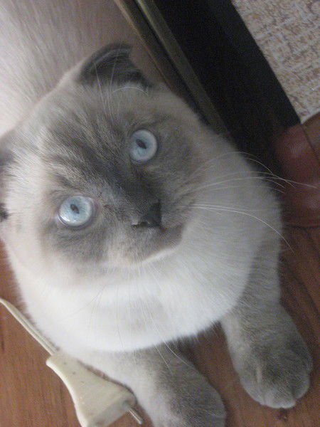 Ольга Тимирова