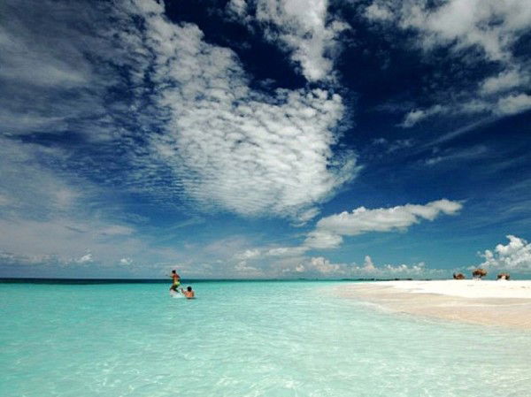 Томара Ильковец