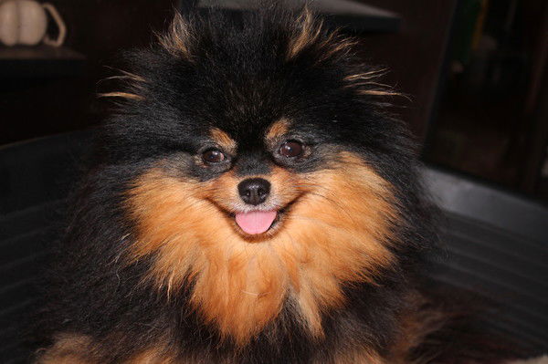 Елена Туранова