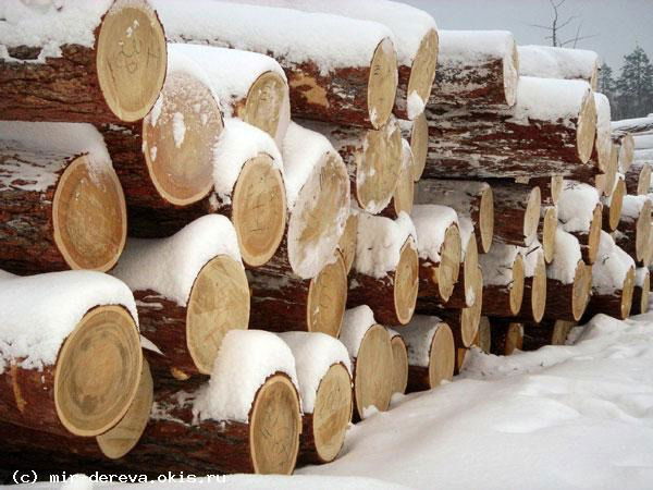 Алексей Потемкин