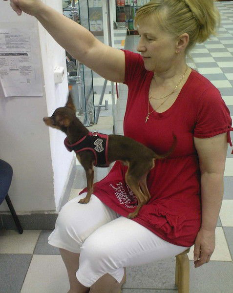 Надежда Приходько