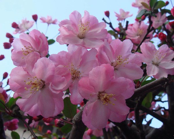 Наталья Павловна Бодмогоряева
