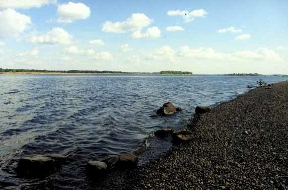 Оля Стерлядева