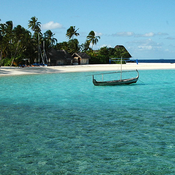 Роман Холкин