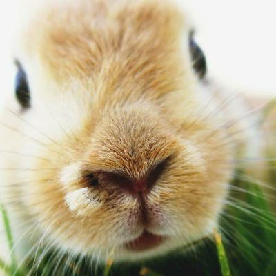 Влад Евстратиков